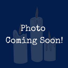 Load image into Gallery viewer, Theme Park Inspired Soy Candles