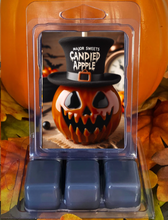Load image into Gallery viewer, Theme Park Inspired Wax Melts