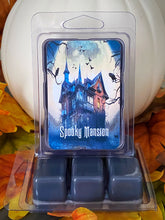 Load image into Gallery viewer, Theme Park Inspired Wax Melts
